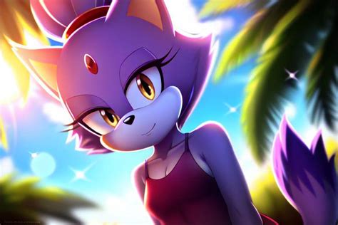 blaze the cat swimsuit|blaze the cat outfits.